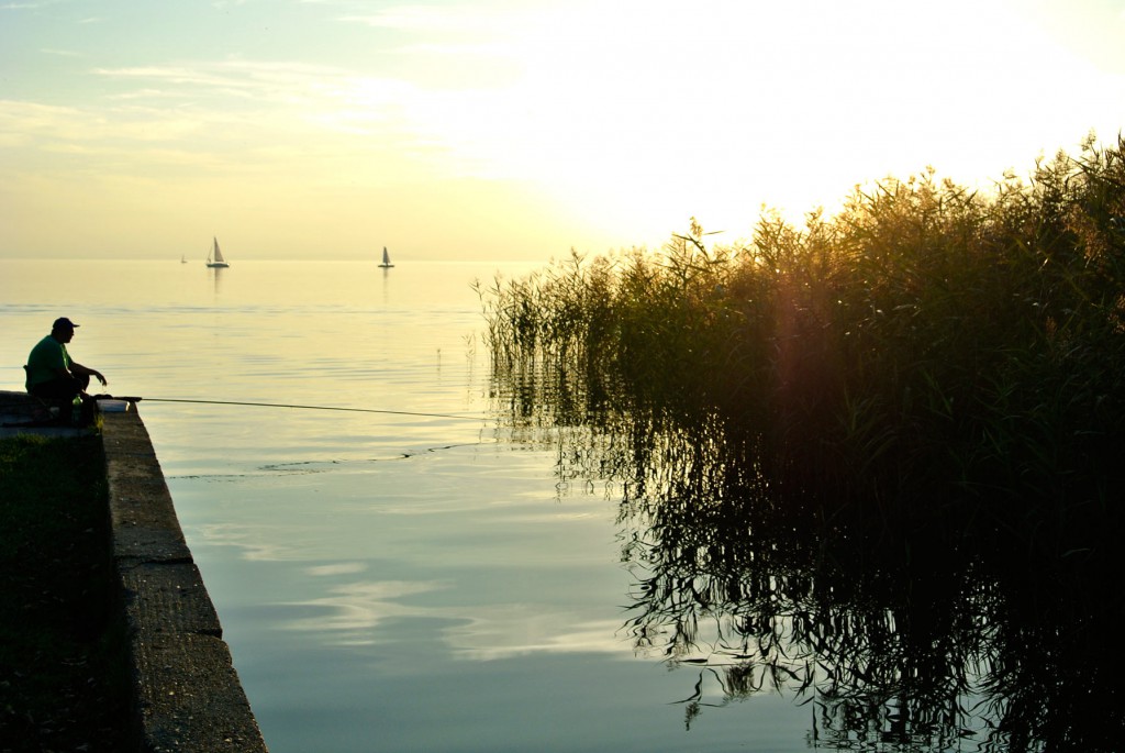 Silence in the autumn at Lake Neusiedl